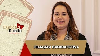 Explica Direito Filiação Socioafetiva  2019 [upl. by Yhtimit658]